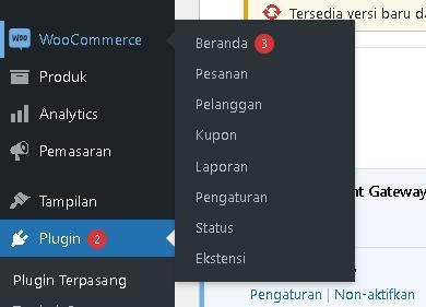 Activate Plugin